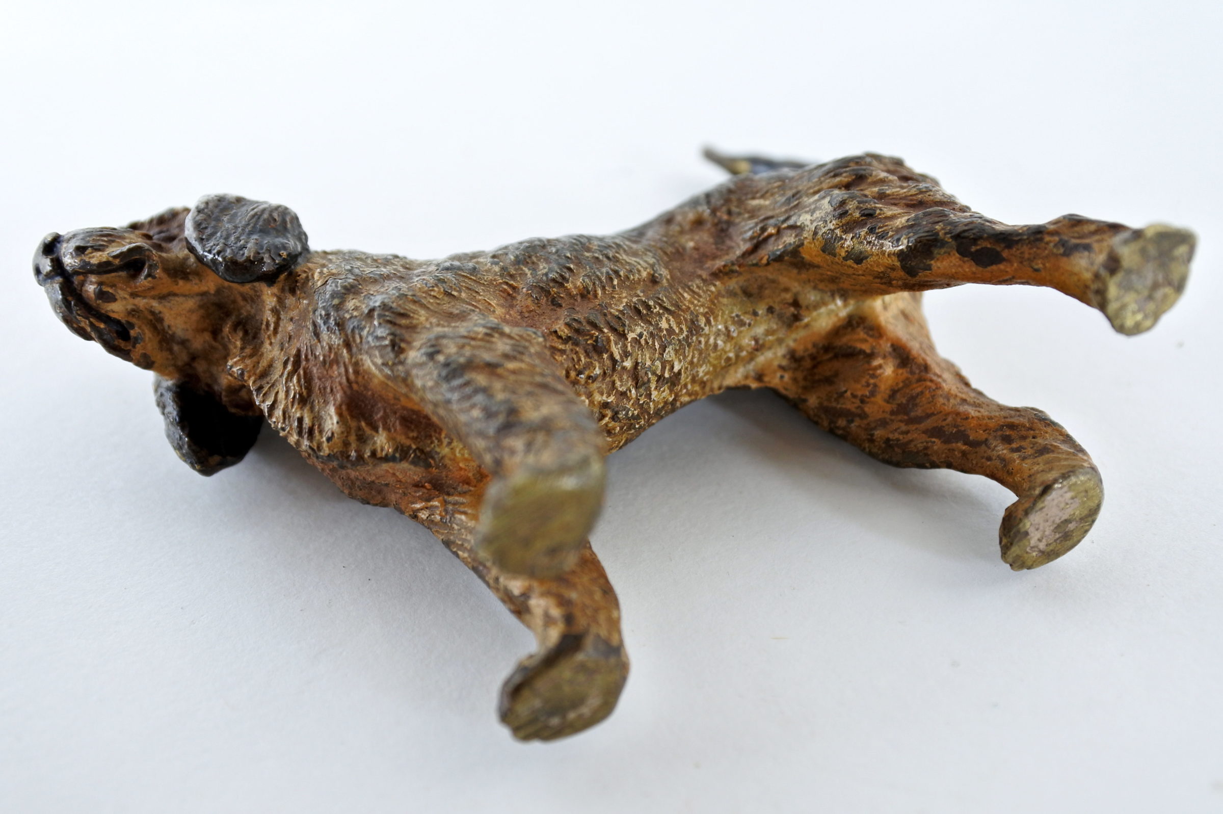 Bronzo di Vienna - Cane - 5
