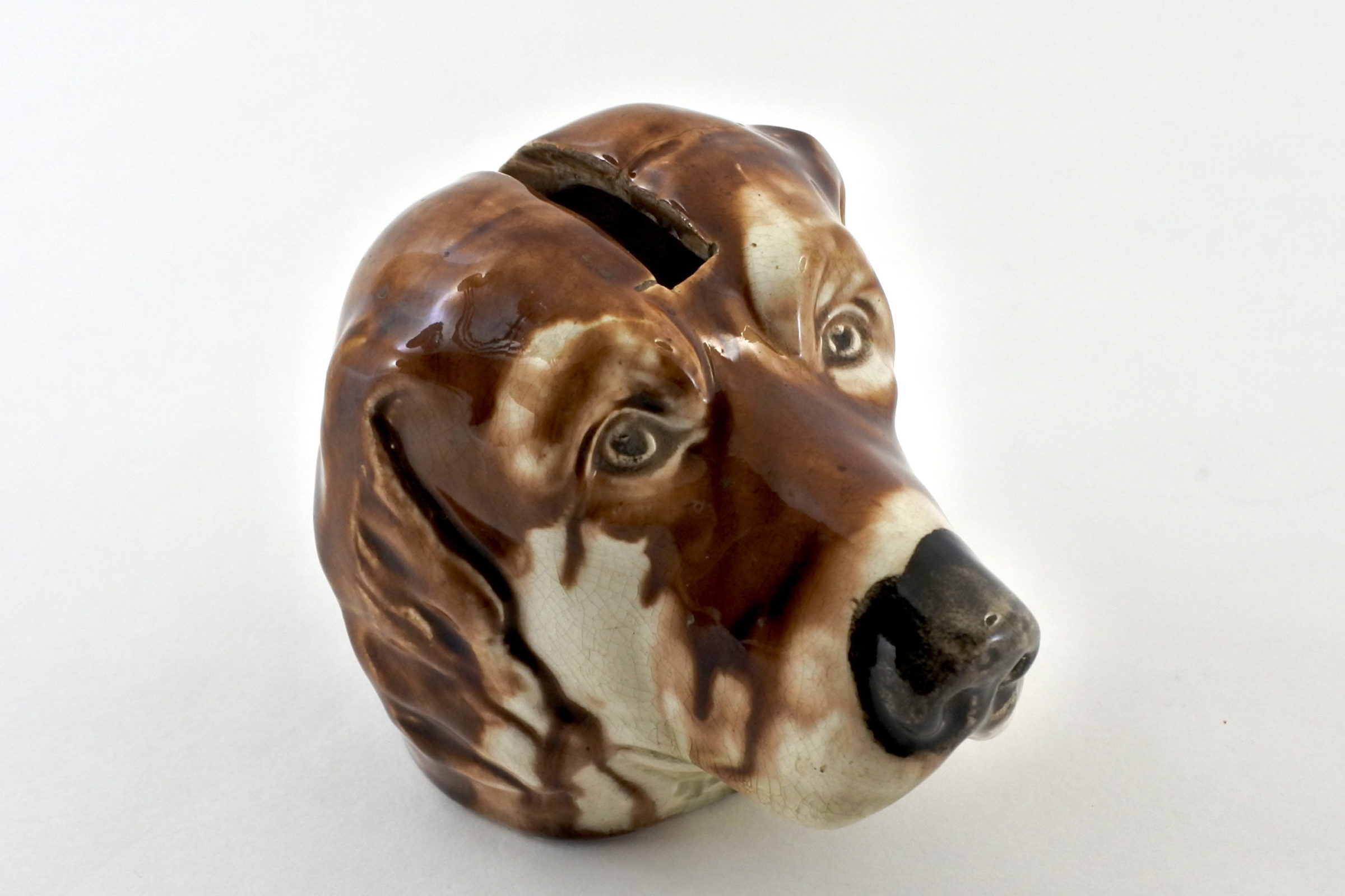 Salvadanaio in ceramica barbotine a forma di cane