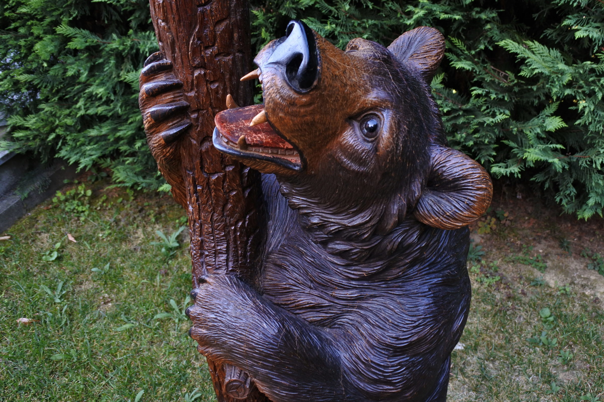 Orso in legno scolpito foresta nera con funzione di portamantelli e portaombrelli - 3