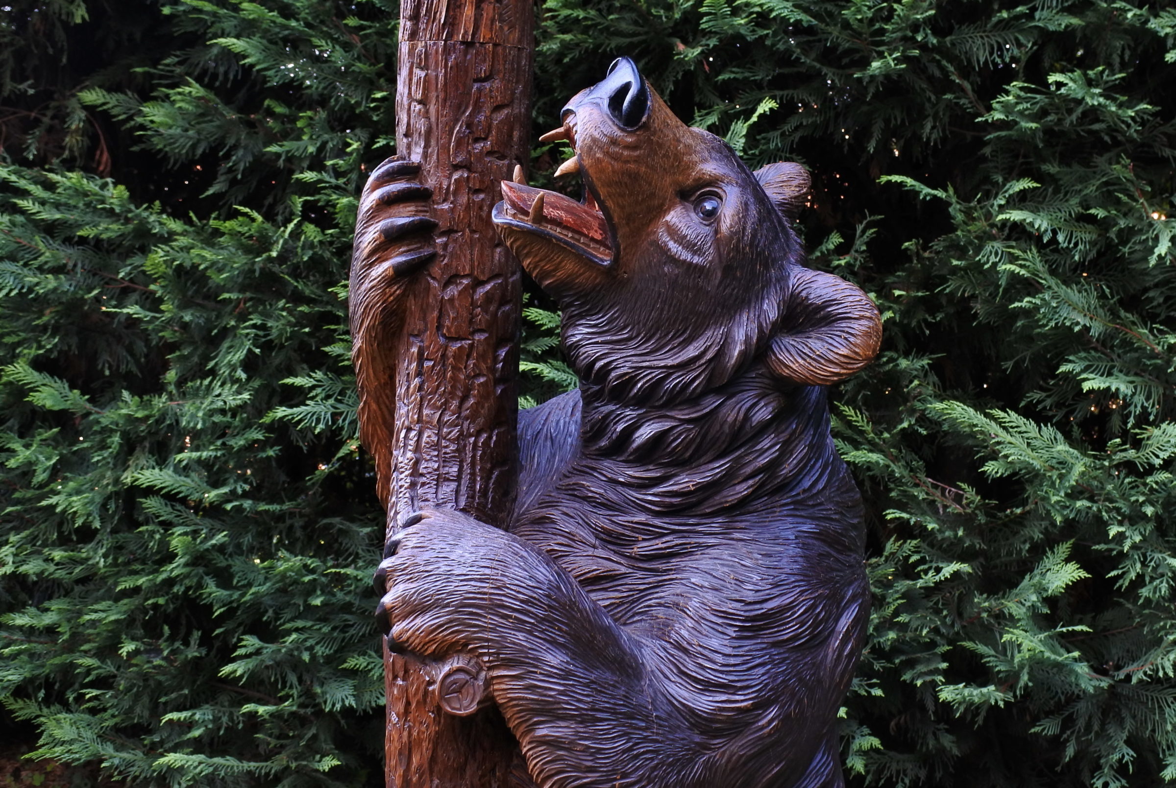 Orso in legno scolpito foresta nera con funzione di portamantelli e portaombrelli