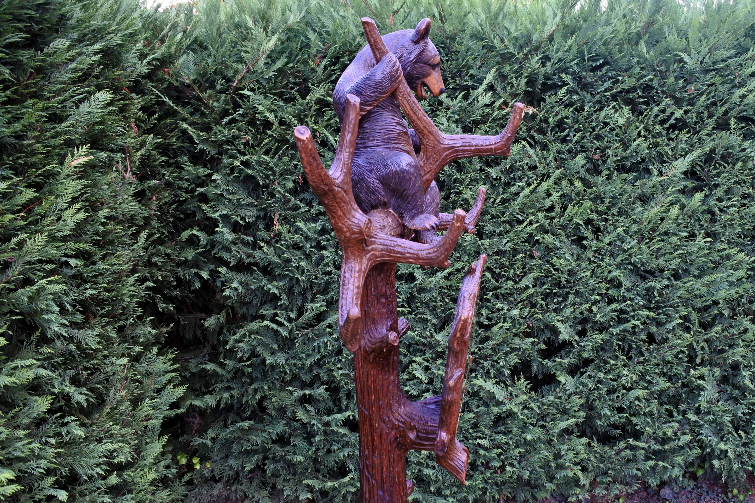 Orso in legno scolpito foresta nera con funzione di portamantelli e portaombrelli - 7