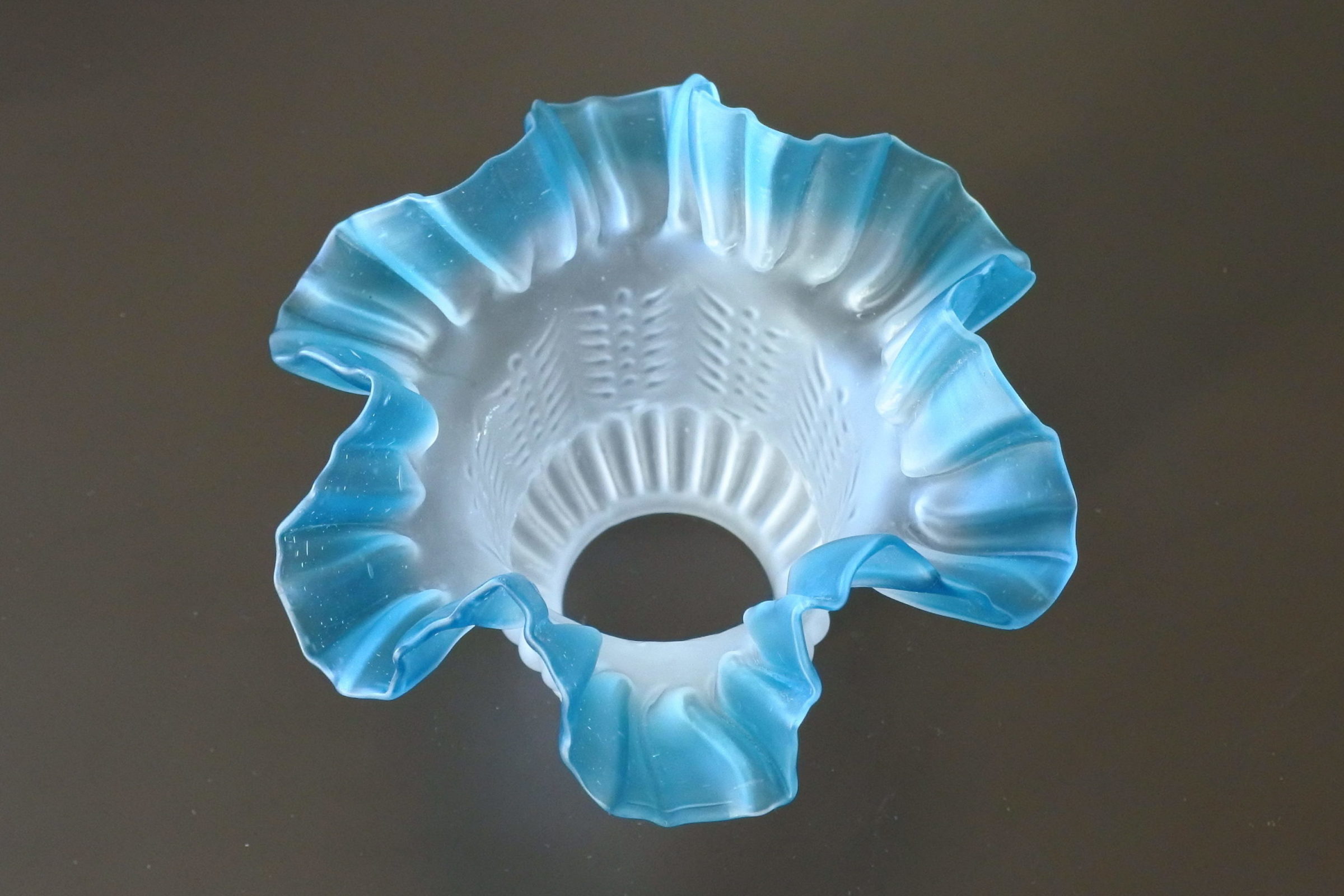 Tulipe per applique in vetro satinato con bordo azzurro - 2