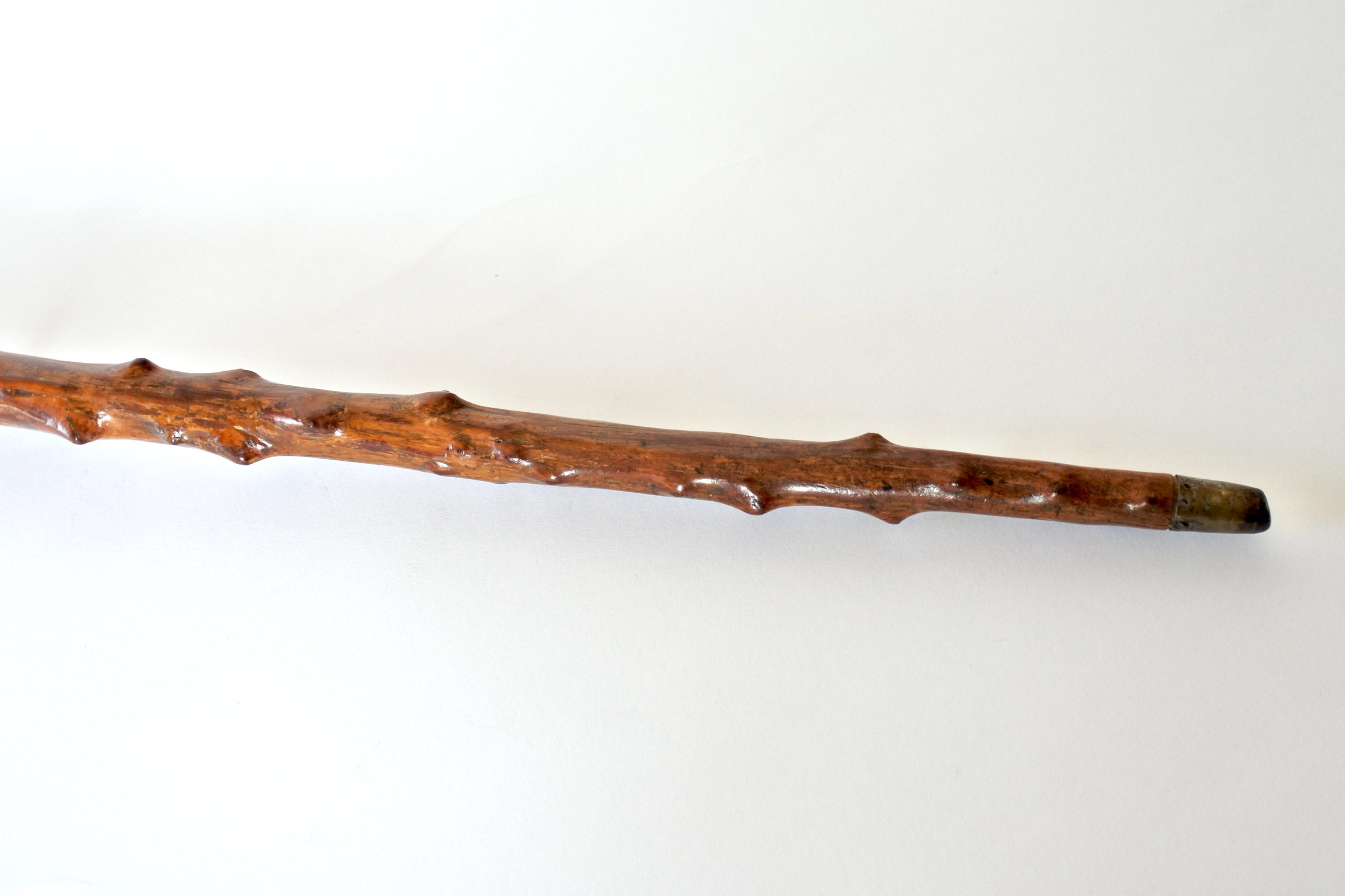 Bastone monossilo in legno scolpito con impugnatura a forma di testa di cane - 10