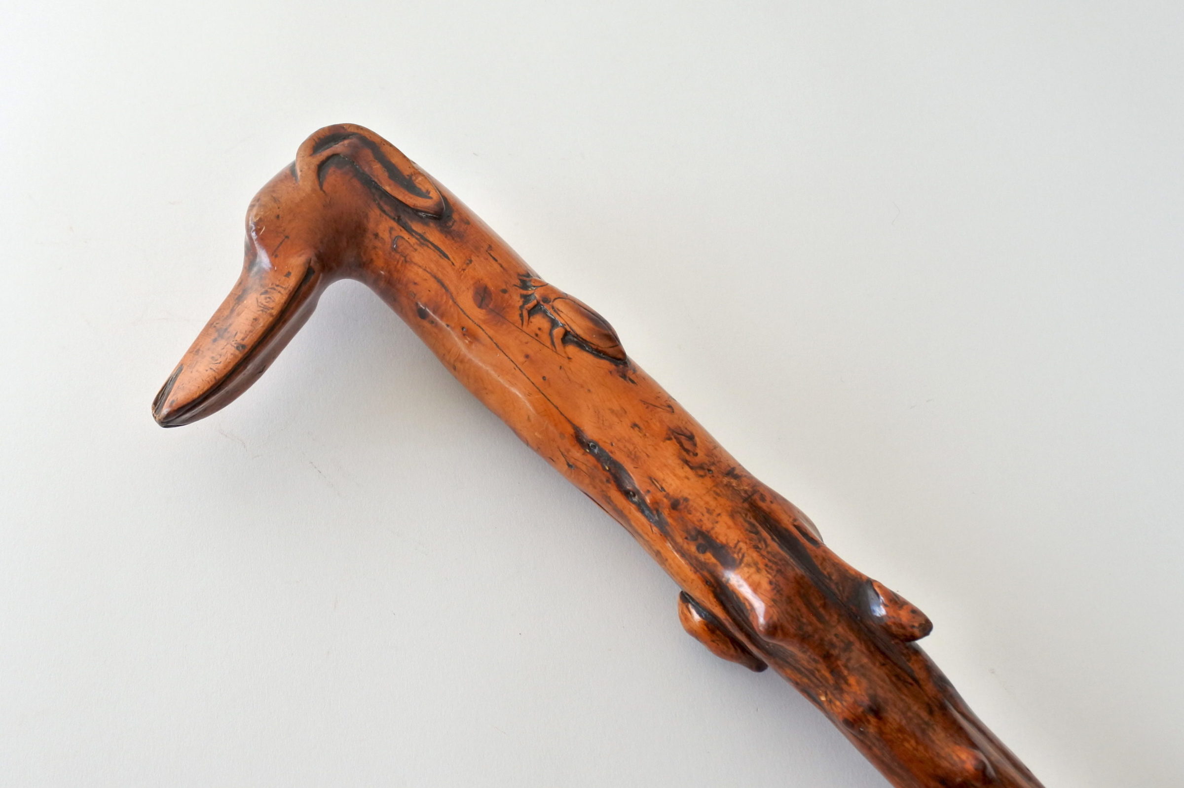 Bastone monossilo in legno scolpito con impugnatura a forma di testa di cane - 2