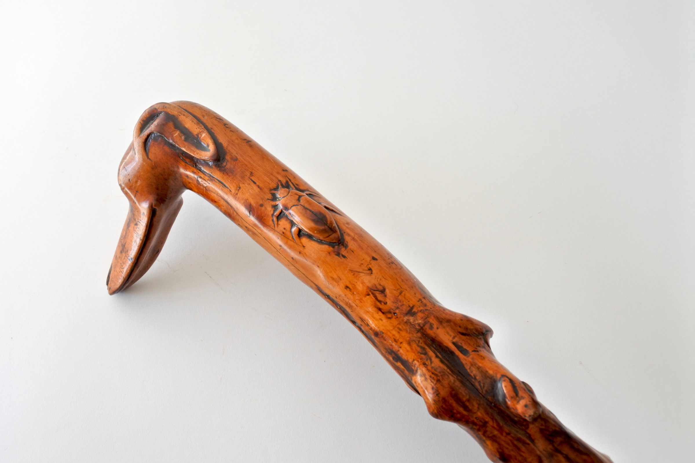 Bastone monossilo in legno scolpito con impugnatura a forma di testa di cane - 3