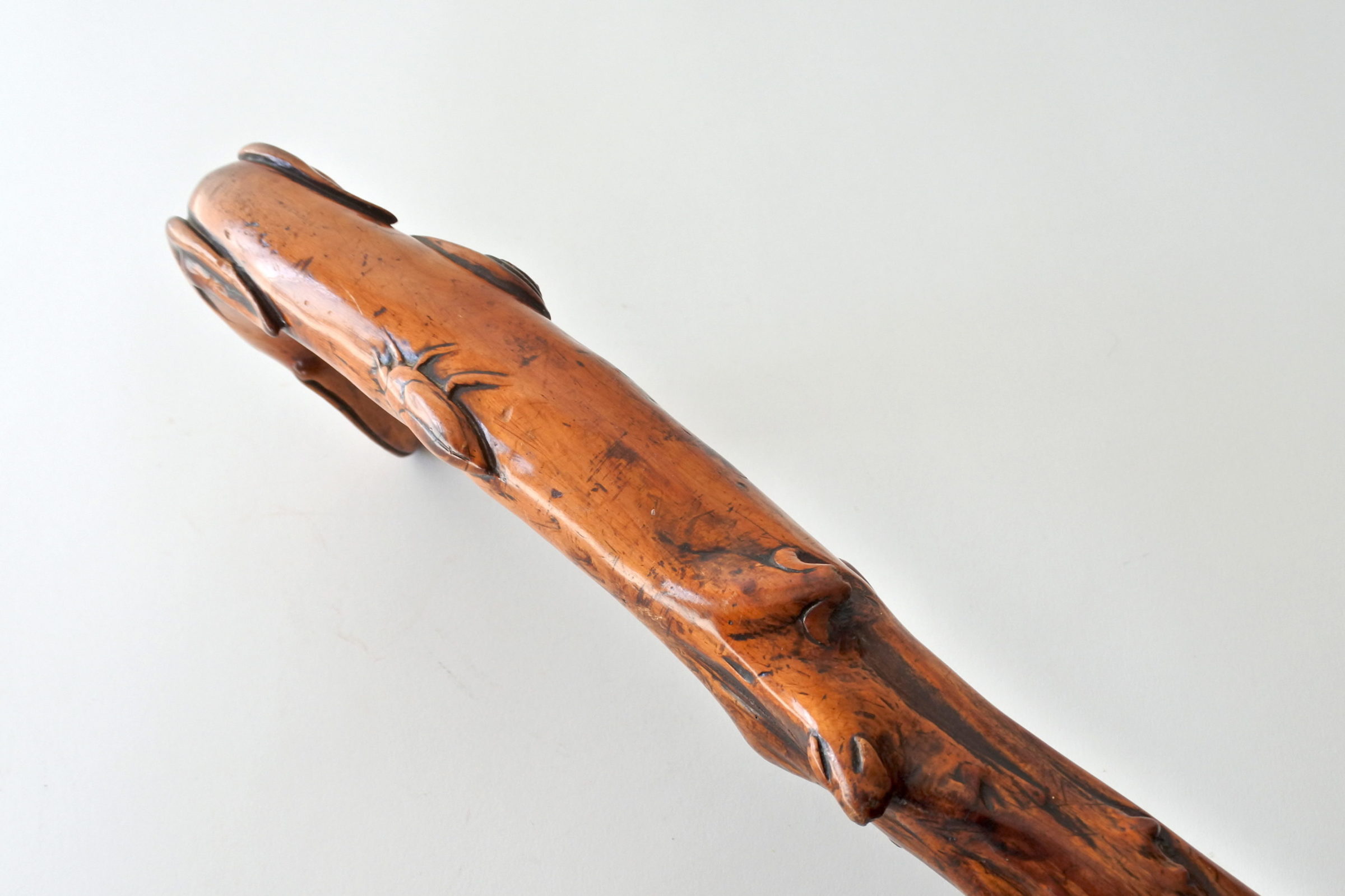 Bastone monossilo in legno scolpito con impugnatura a forma di testa di cane - 4
