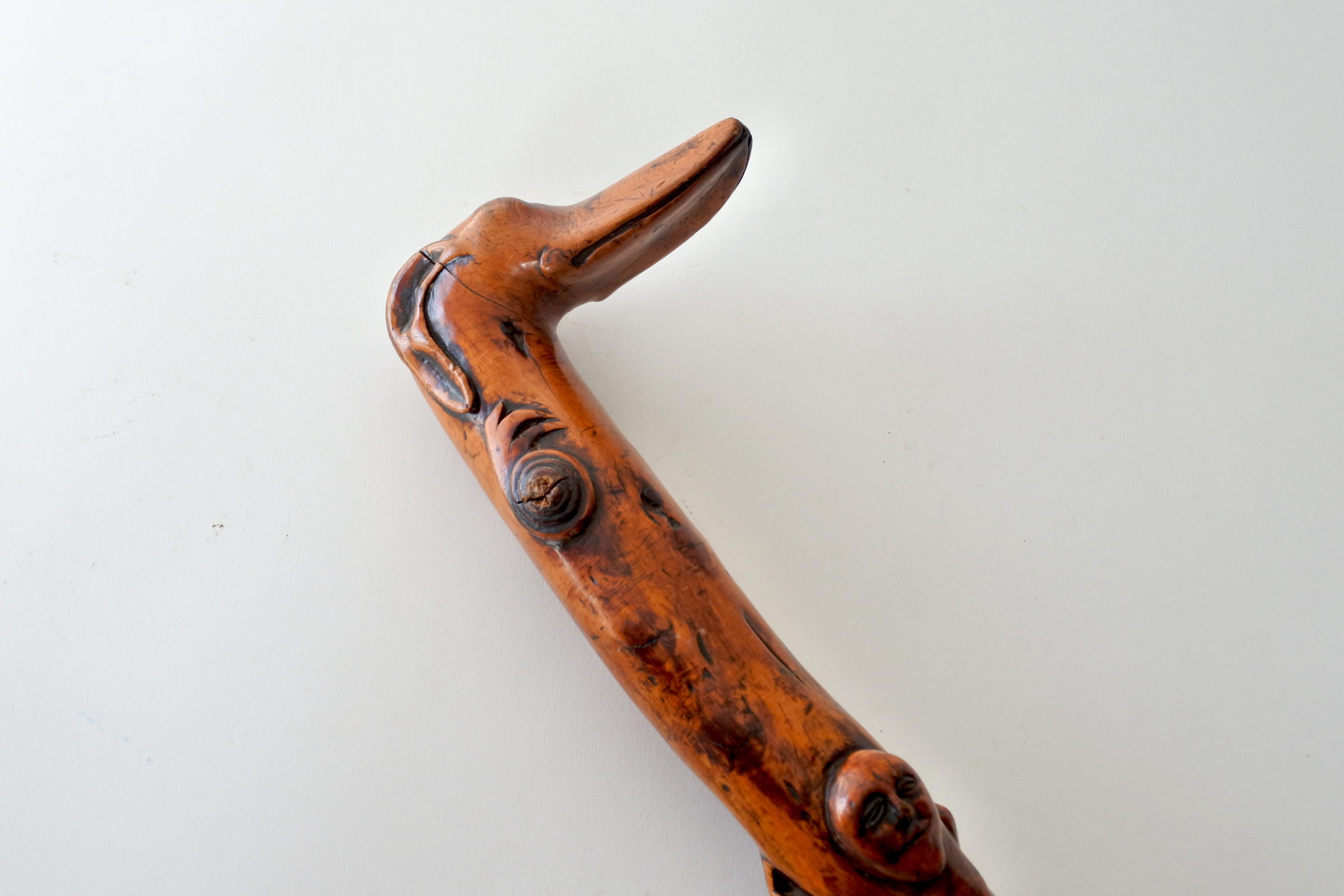 Bastone monossilo in legno scolpito con impugnatura a forma di testa di cane - 5