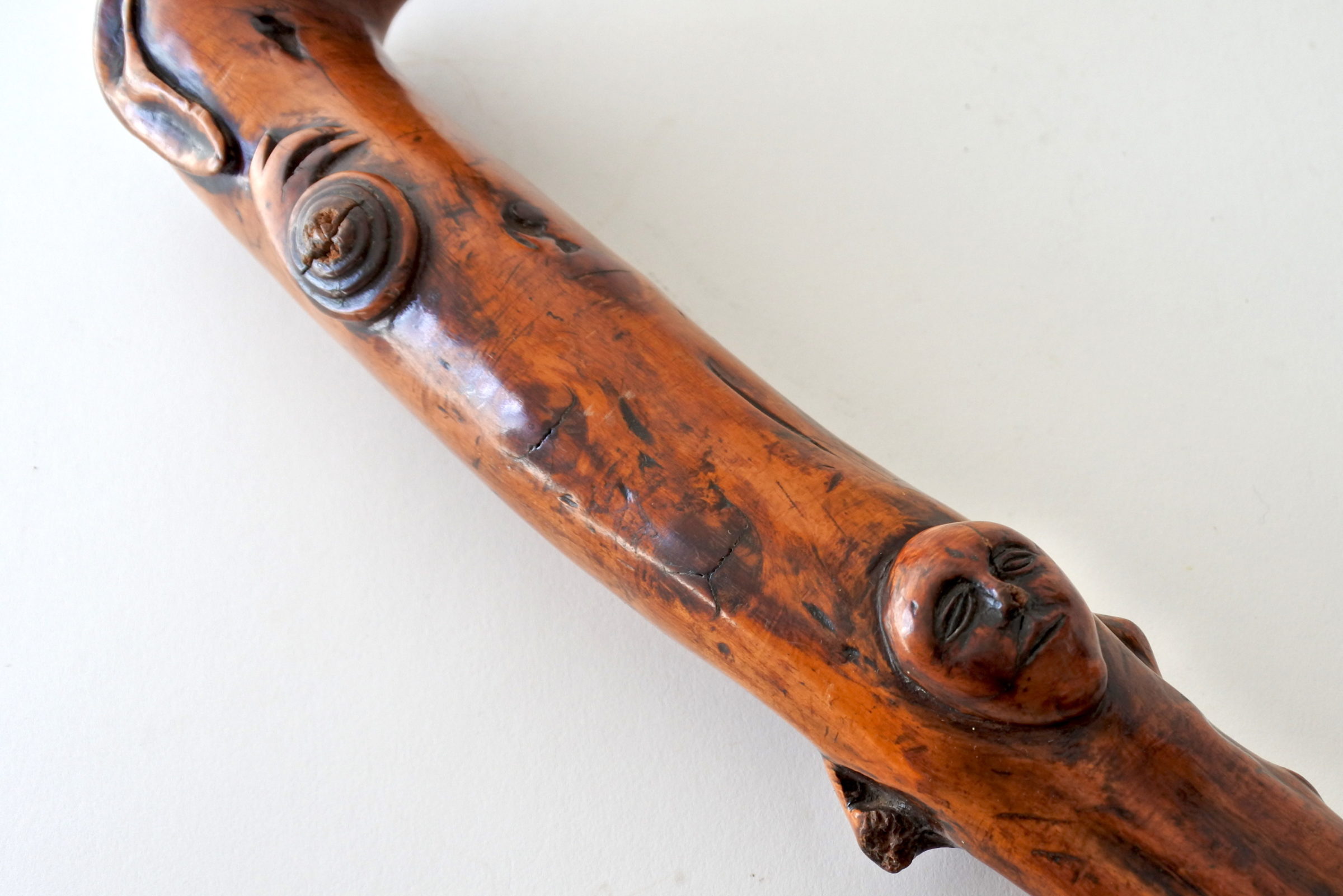 Bastone monossilo in legno scolpito con impugnatura a forma di testa di cane - 6