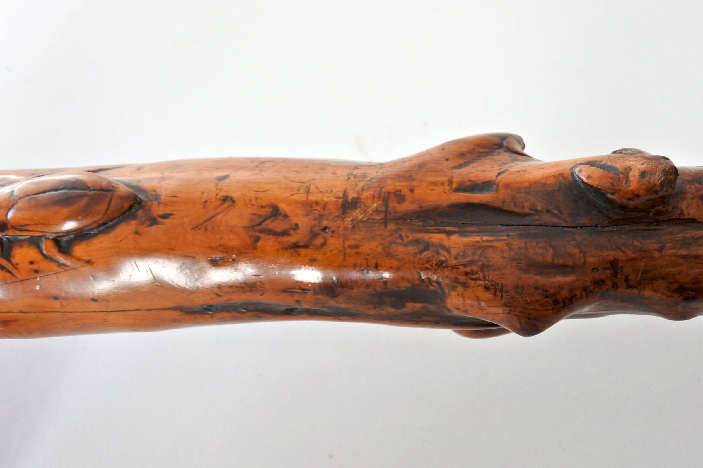 Bastone monossilo in legno scolpito con impugnatura a forma di testa di cane - 7