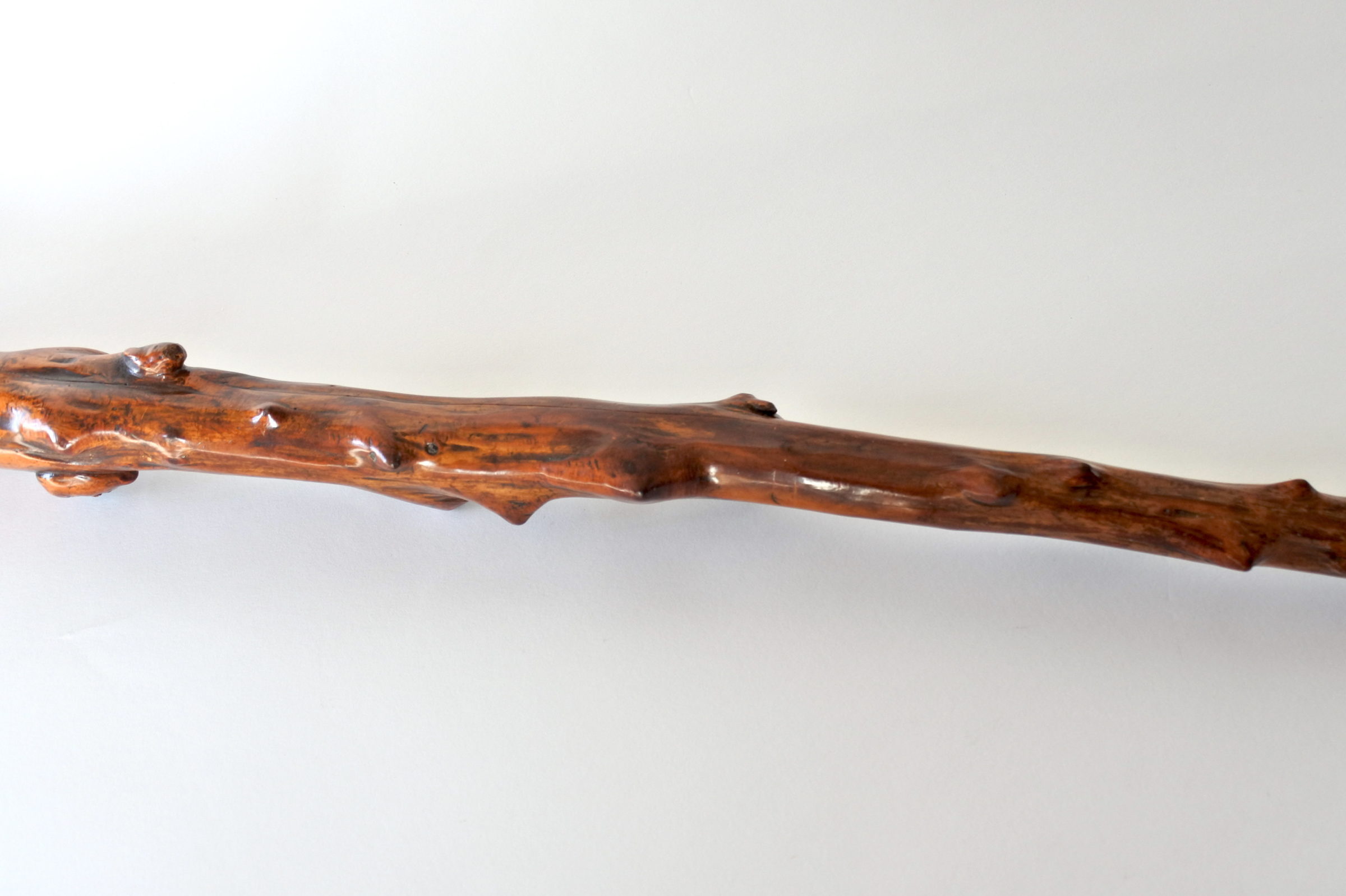 Bastone monossilo in legno scolpito con impugnatura a forma di testa di cane - 9