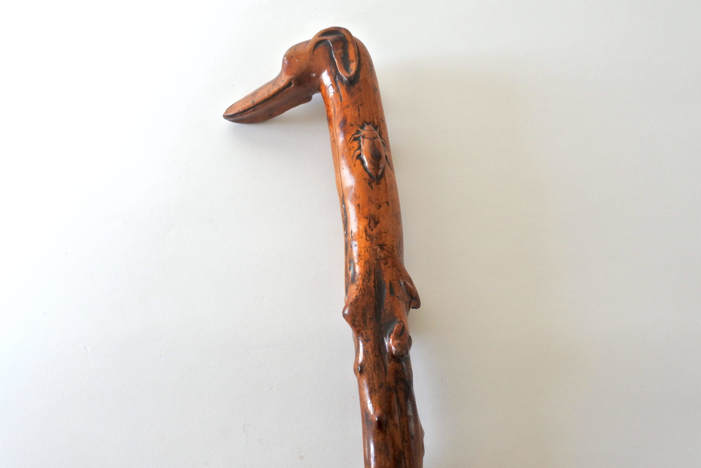 Bastone monossilo in legno scolpito con impugnatura a forma di testa di cane