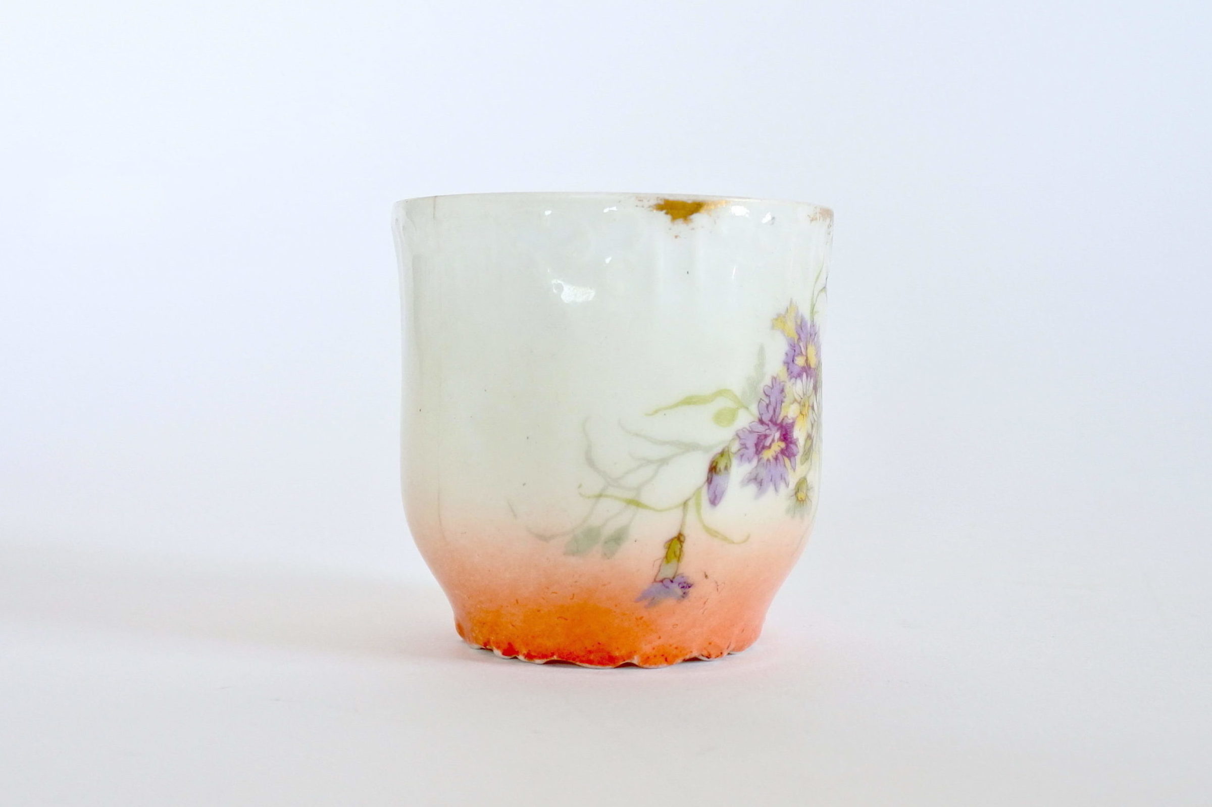 Tazzina e piattino in porcellana decorati con rami di fiori e margherite - 8