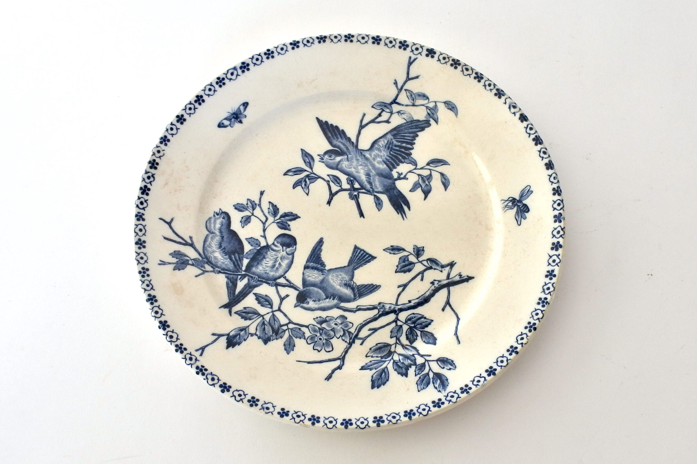 Servizio in ceramica B.F.K. decorato con uccellini su rami ed insetti - 15