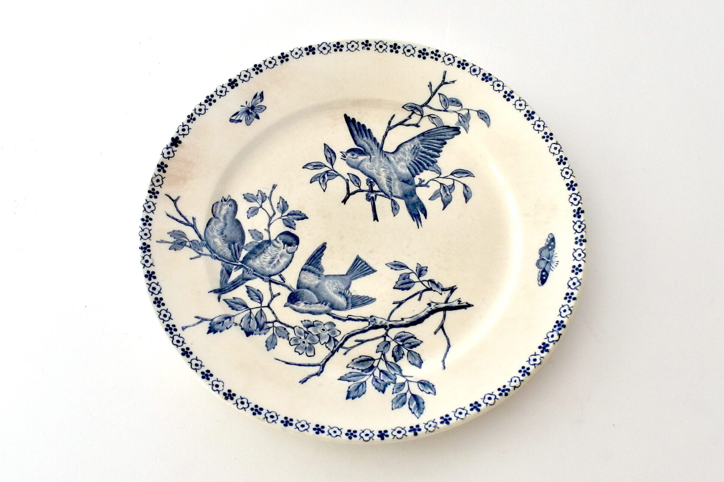 Servizio in ceramica B.F.K. decorato con uccellini su rami ed insetti - 19