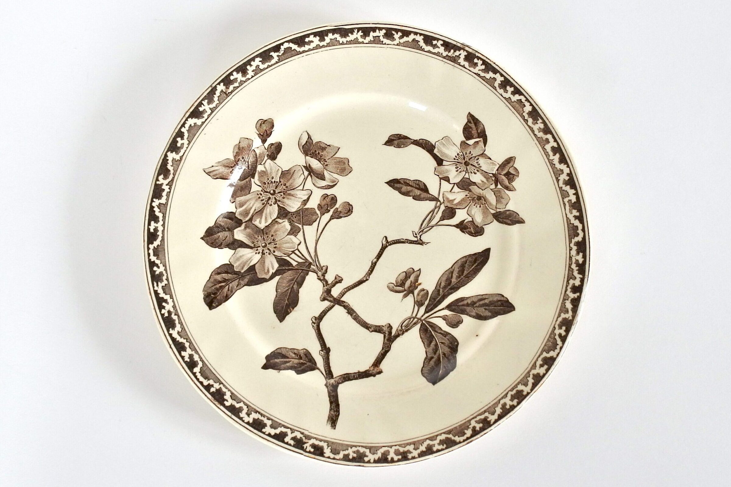 Piatto in ceramica di Creil et Montereau con ramo fiorito su fondo avorio
