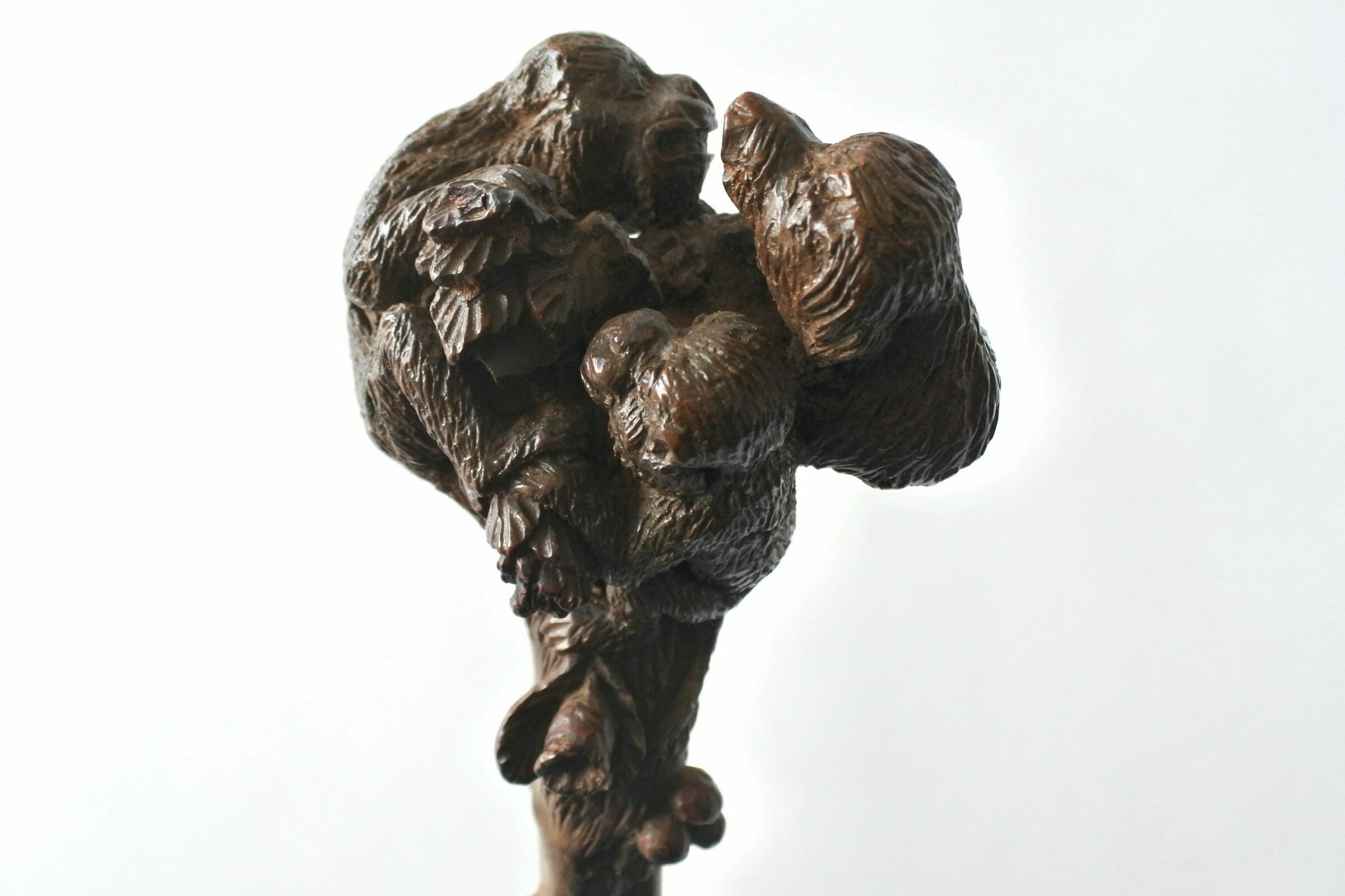 Bastone da passeggio in legno scolpito con figura di cane e scimmie - 4