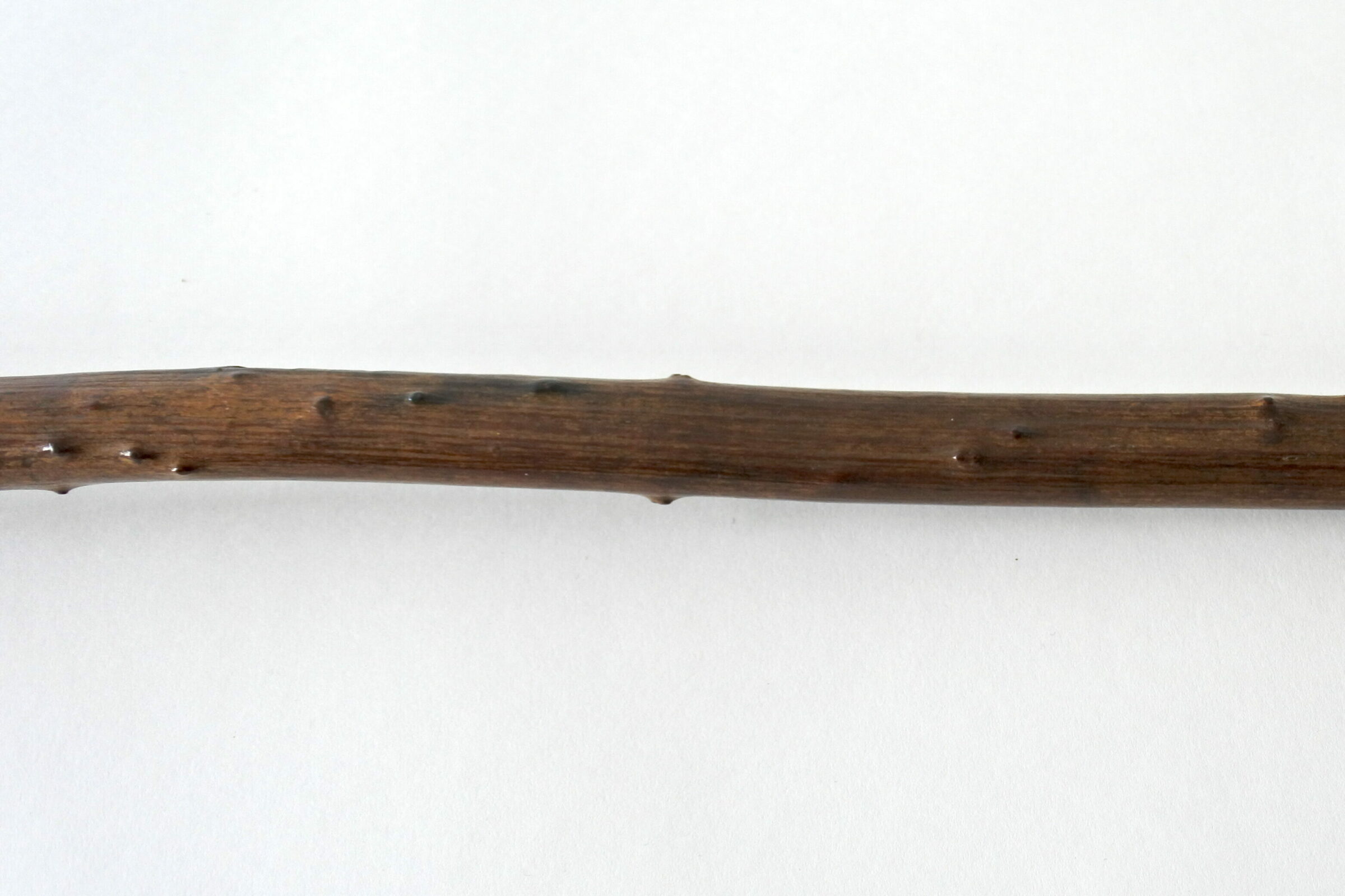 Bastone da passeggio in legno scolpito con figura di cane e scimmie - 6