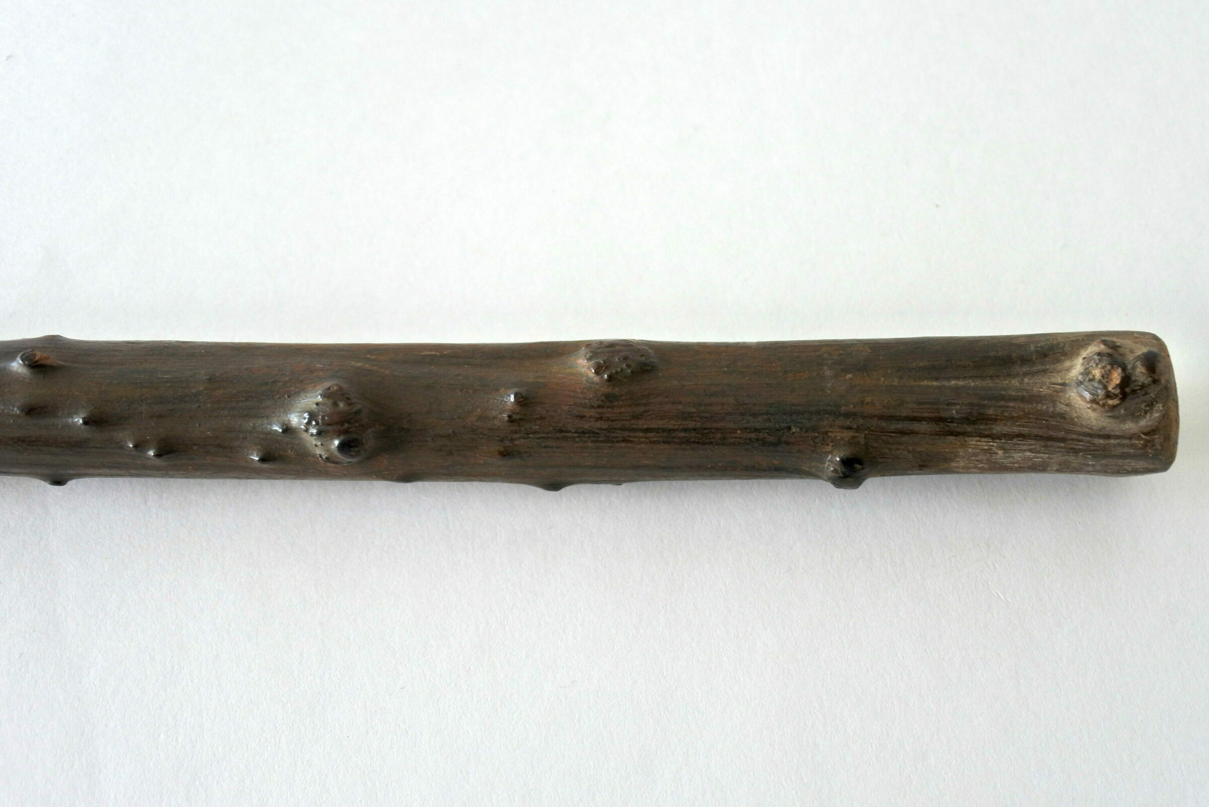 Bastone da passeggio in legno scolpito con figura di cane e scimmie - 7